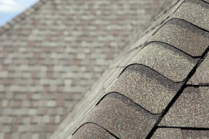 Close Up Of Roofing Shingles