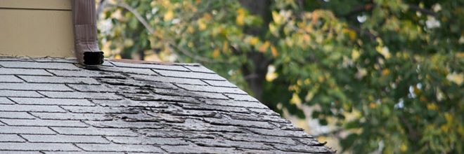 4 Reasons Why You Should Never Put Off Roof Leak Repairs